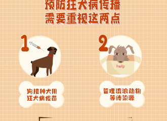 8���к���Ⱦ��������ҽ��ʹ�ģ������ʼ���100%