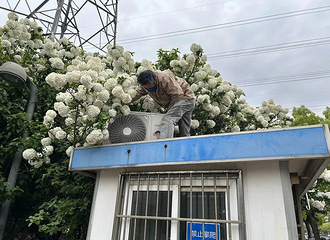 �������ۣ�����Ů����Ϊ�����վ�Ȼ...���£���ҹ�����