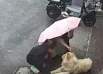 沿ദӡŮ·߶ͻ˺ҧѪ˻Ӧ