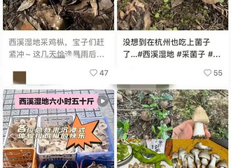 ͻȻ���ˣ���Ϫʪ�ؽ�������