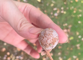 ·Сӣ񣡱ԣڴ......