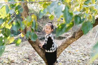 ����һ��������