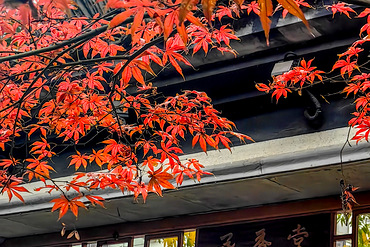 �ɻ���ͷ�������á�