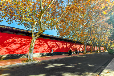 �����ٹ������ɫ�ĺ�ǽ����Ӱ