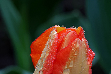 ̫���幫԰����������