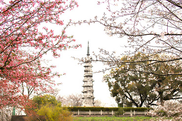 ����֮��