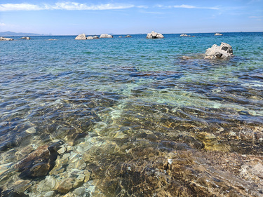 一起来看果冻海