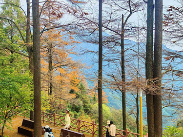 这个秋天去哪里