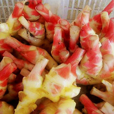 永康特产 五指岩生姜 农家自种