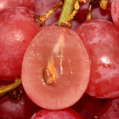 【淳品】进口美国有籽红提