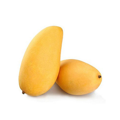 海南水仙芒 5.5斤