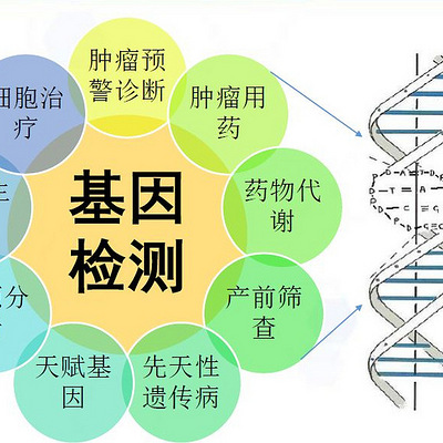 个人全基因组全面检测(哈佛同步)