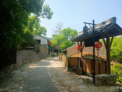 温岭坞根喜柿山谷