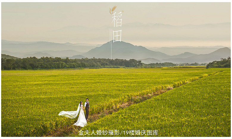 唯美农场婚纱照:稻田