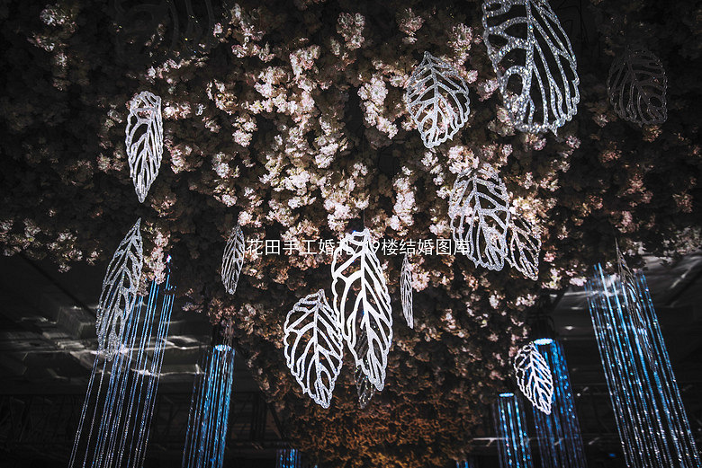 �����ֹ�����-Ҷ��¹