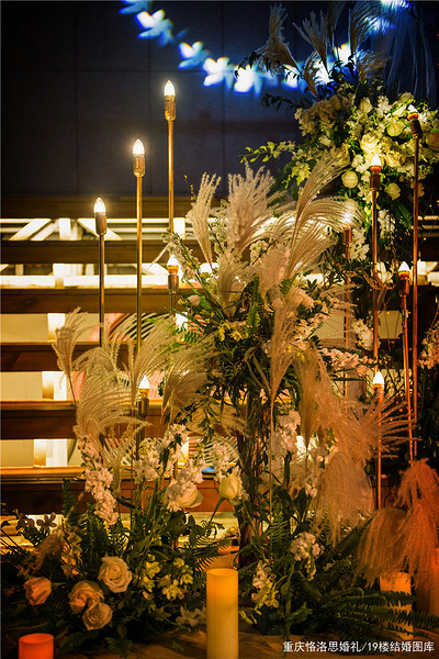 ��ʽ�������硾BREEZE��