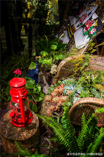 ��ʽ�������硾BREEZE��