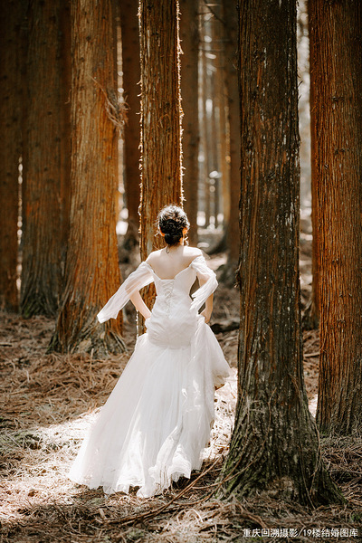 婚纱照森林系唯美图片