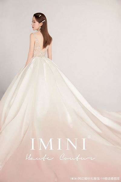 IMINI����ϵ��