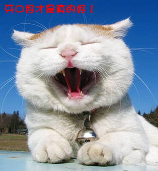 猫叔吃吃喝喝的一天~小资小生活