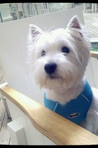 杭州城西三岁西高地gg 寻女友一枚~_咖啡教室_杭州19楼手机版