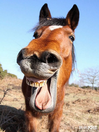 鼻孔大怎么了,我呼吸好