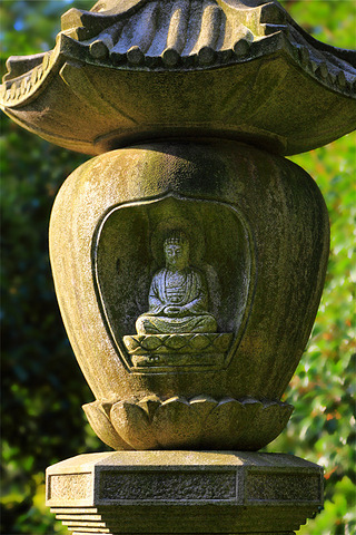 (5) 端坐在莲花台上的如来佛祖,慈眉善目,宁静祥和.