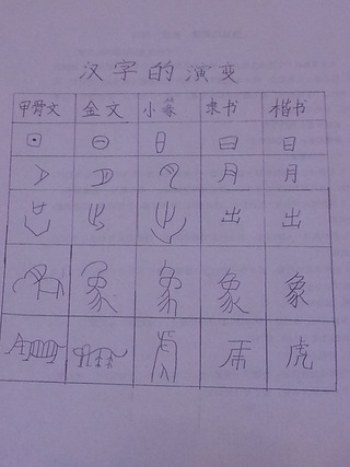 汉字的演变过程100字图片