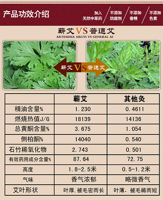 蕲艾与一般艾条的区别?