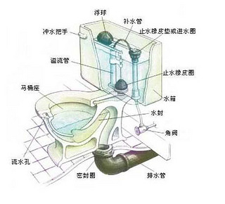 马桶下水结构图图片