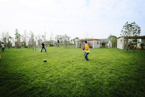 世界杯很远?世界杯很近! 圣合?圣心玫瑰园带你