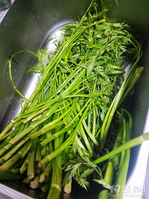 春天里野菜的味道 中午菜水芹菜豆腐干味道好 19楼私房菜 杭州19楼手机版