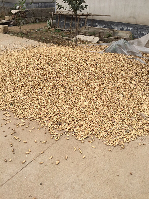 我爸妈是地地道道的农民,家里有土生土长的