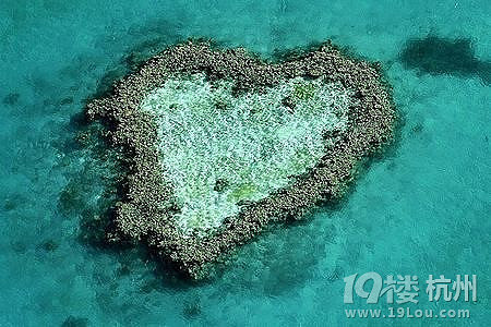 【全球求婚十大歌曲】十大轻音乐、十大英文歌