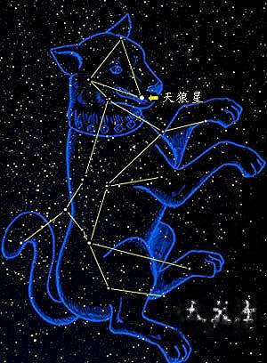 我们的邻居天狼星 走出太阳系后会到哪里?