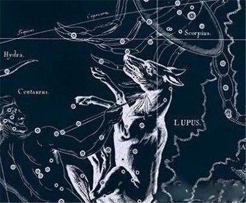 惊爆天狼星人尸体 人类竟是外星人后裔