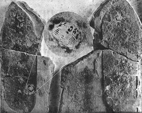 考古界不敢公开秘密!震惊世界的巨人遗骸