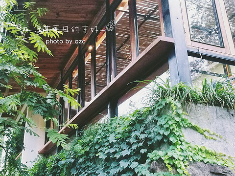 【晒民宿】墟里之夏