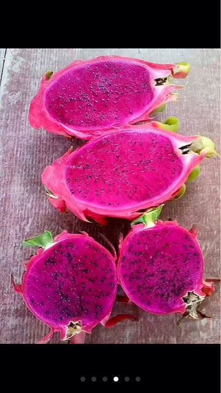自家红心火龙果!不甜不要钱有需要联系我