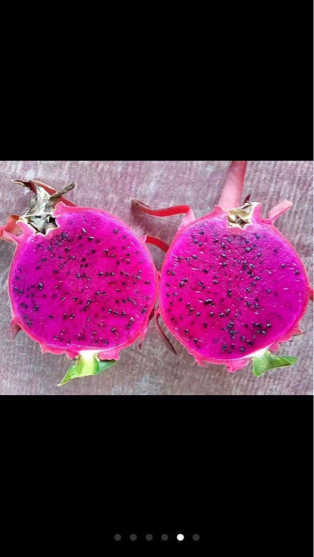自家红心火龙果!不甜不要钱有需要联系我