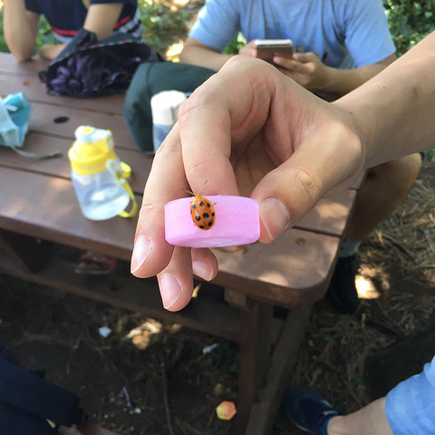 大宝&小宝一起粗发,超轻松自由行--记济州岛亲