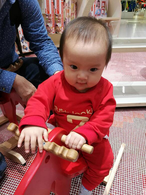 一动一静,相映成趣