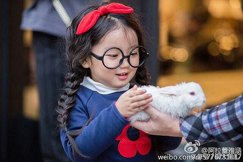 阿拉蕾微博粉丝突破三百万,长在糖罐子里的小