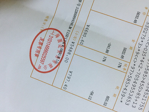 哥们手上有……ipadpro 国行一部