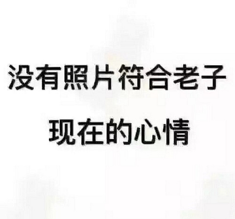 我要瘋了 我真的要瘋了 特麼想罵人