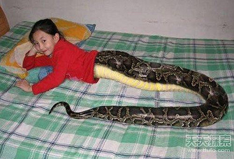 震惊!印尼发现人头蛇身怪物 到底是真是假?