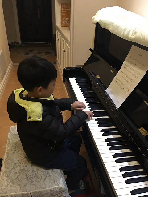 买了德国SEILER的钢琴了,家里雅马哈P95B电