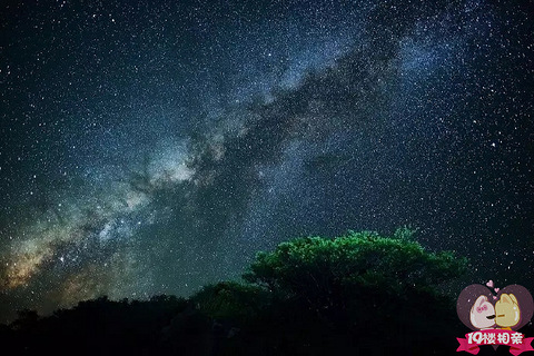 危楼高百尺，手可摘星辰。不敢高声语，