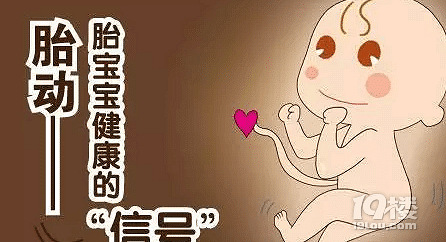 怀孕22周胎动规律吗怎么才是正常的 孩爸孩妈聊天室 杭州19楼手机版