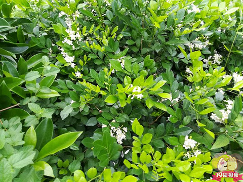 回不去的青春 回不去的爱